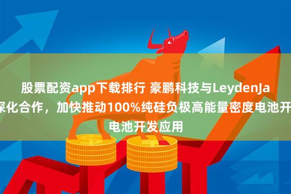 股票配资app下载排行 豪鹏科技与LeydenJar全面深化合作，加快推动100%纯硅负极高能量密度电池开发应用