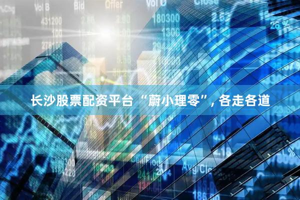 长沙股票配资平台 “蔚小理零”, 各走各道