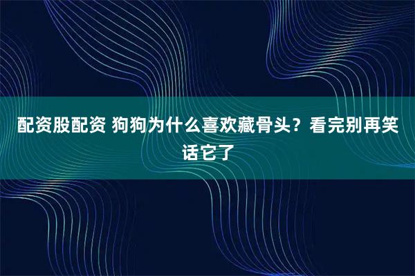 配资股配资 狗狗为什么喜欢藏骨头？看完别再笑话它了